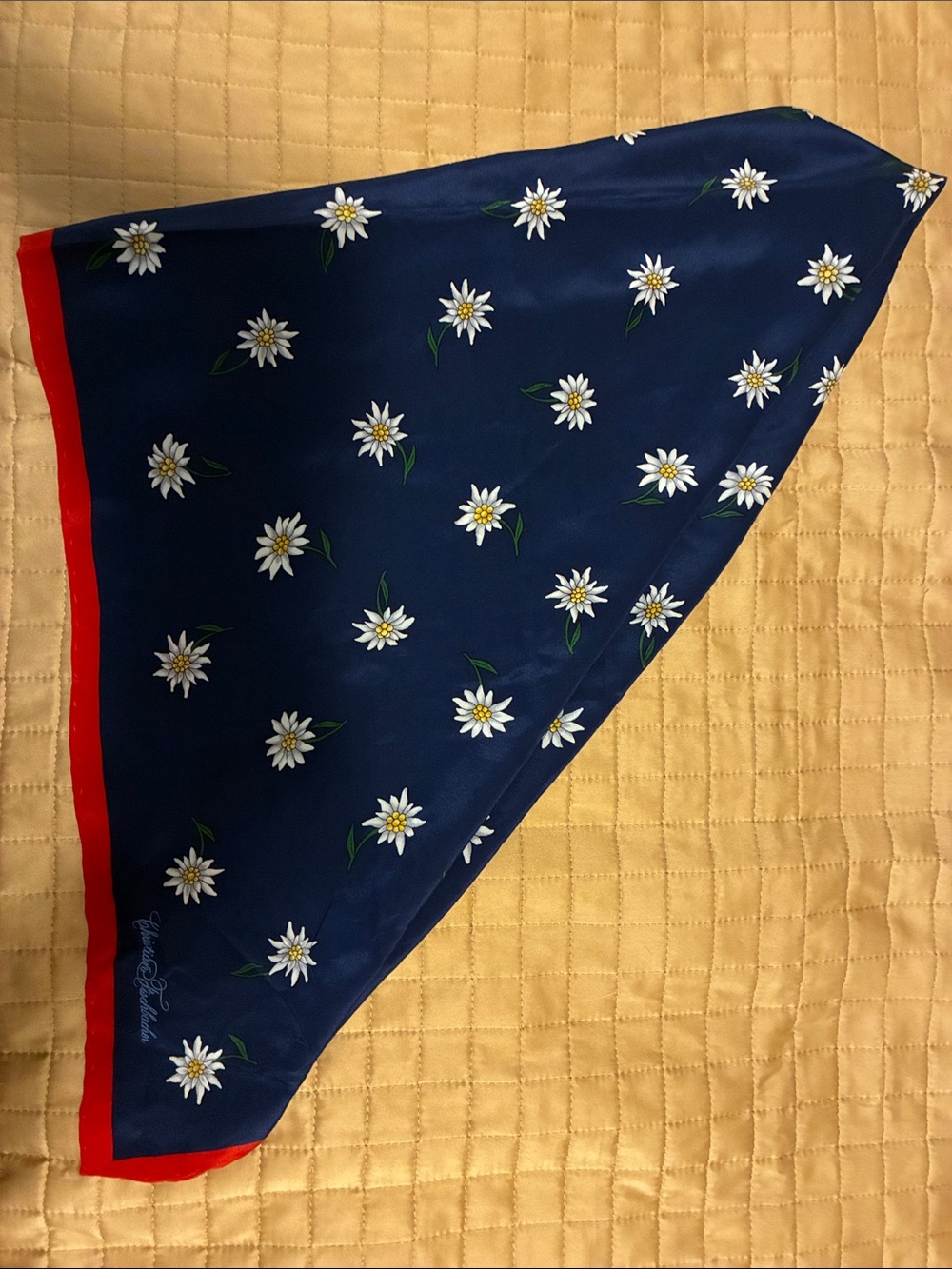Navy Daisy 100% Silk Scarf with Red Trim